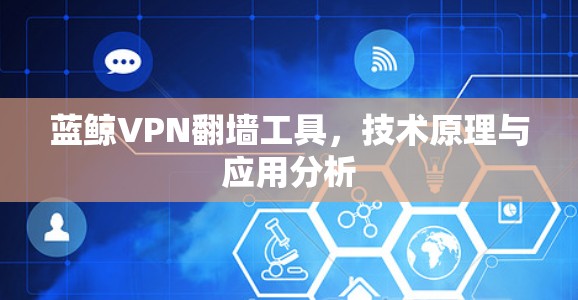 蓝鲸VPN翻墙工具，技术原理与应用分析
