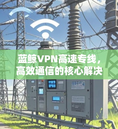 蓝鲸VPN高速专线，高效通信的核心解决方案