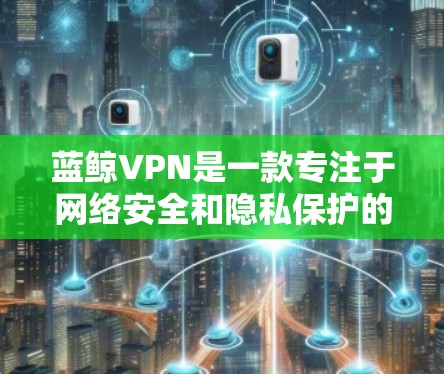 蓝鲸VPN是一款专注于网络安全和隐私保护的VPN服务提供商，其服务涵盖了多种功能，包括但不限于