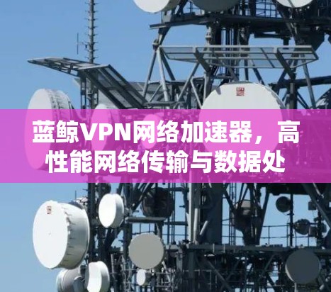 蓝鲸VPN网络加速器，高性能网络传输与数据处理的优化解决方案
