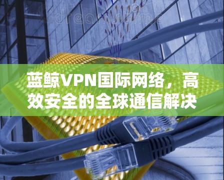 蓝鲸VPN国际网络，高效安全的全球通信解决方案