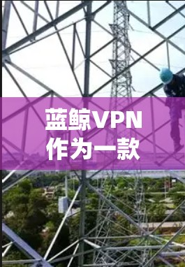 蓝鲸VPN作为一款网络安全工具，提供了多国服务器和跨国网络访问功能，适合保护用户隐私和安全，访问受限地区内容。以下是其主要特点和优势