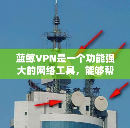 蓝鲸VPN是一个功能强大的网络工具，能够帮助用户绕过网络限制，访问受限的网站或内容。以下是使用蓝鲸VPN进行在线学习的详细指南