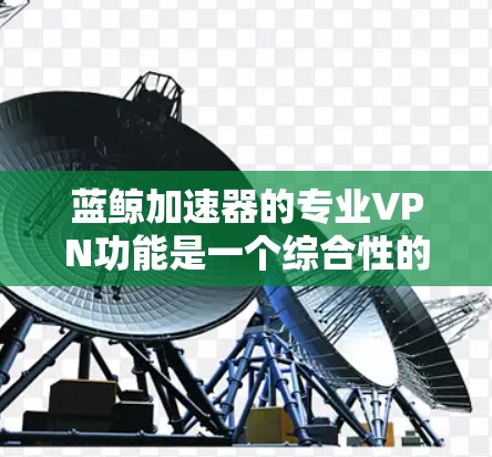 蓝鲸加速器的专业VPN功能是一个综合性的解决方案，旨在为企业提供高效、安全的网络访问服务。以下是其关键功能的详细分析