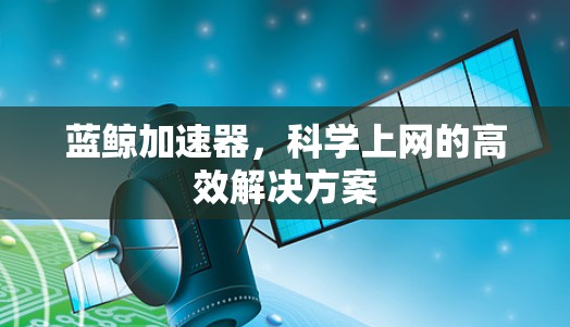蓝鲸加速器，科学上网的高效解决方案