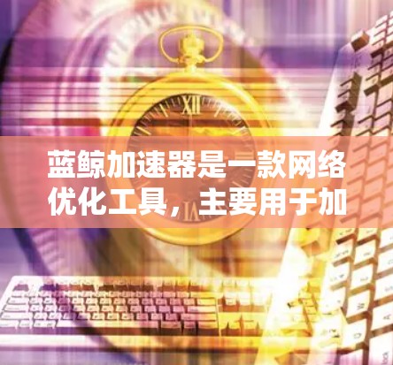 蓝鲸加速器是一款网络优化工具，主要用于加速网络流量、减少延迟和提高网络性能。它通常应用于企业网络、云计算环境或数据中心中，以优化数据传输速度和稳定性
