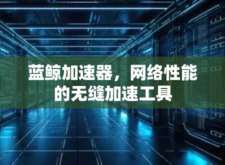 蓝鲸加速器，网络性能的无缝加速工具