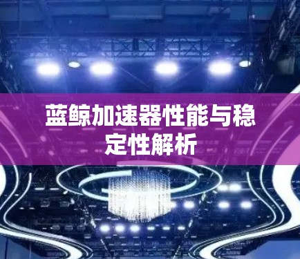 蓝鲸加速器性能与稳定性解析
