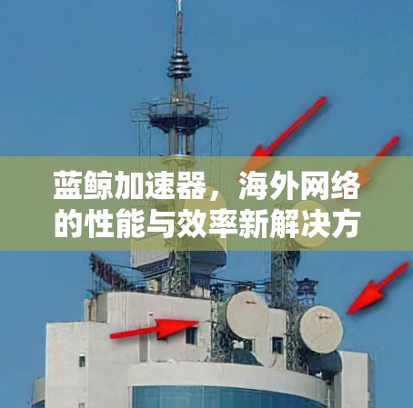 蓝鲸加速器，海外网络的性能与效率新解决方案