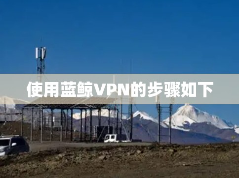 使用蓝鲸VPN的步骤如下