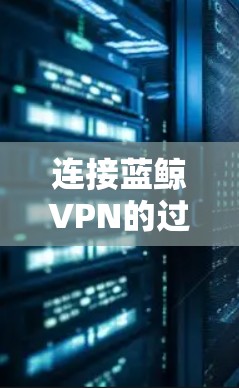连接蓝鲸VPN的过程可以分为几个步骤，每个步骤都需要仔细执行以确保顺利完成。以下是详细的步骤指南