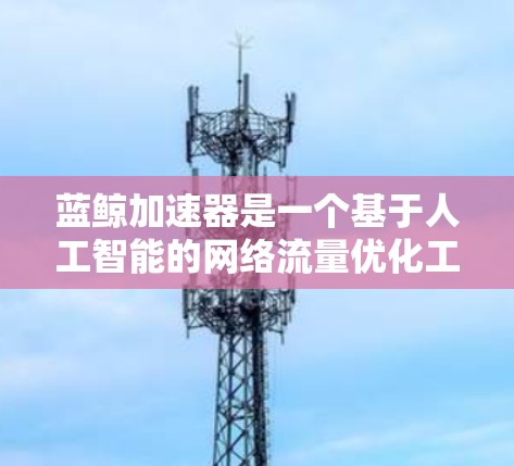 蓝鲸加速器是一个基于人工智能的网络流量优化工具，能够有效提升网络应用的性能。以下是使用蓝鲸加速器的分步指南
