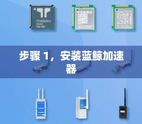 步骤 1，安装蓝鲸加速器