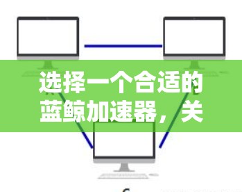 选择一个合适的蓝鲸加速器，关键在于明确你的需求、评估各选项的技术和成本，然后做出最优选择。以下是分步的推荐方案