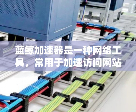 蓝鲸加速器是一种网络工具，常用于加速访问网站或绕过网络限制。然而，使用翻墙工具可能涉及法律和道德问题，具体取决于所在地区的法律法规。建议遵守相关法律法规，合法使用网络资源
