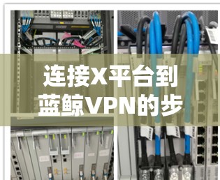 连接X平台到蓝鲸VPN的步骤如下
