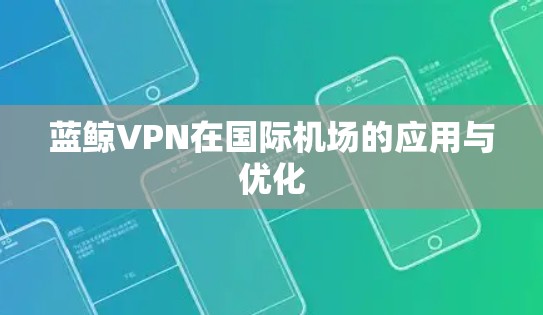 蓝鲸VPN在国际机场的应用与优化
