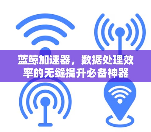 蓝鲸加速器，数据处理效率的无缝提升必备神器