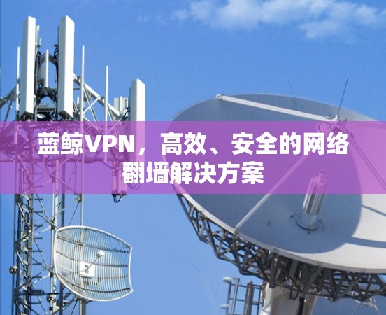 蓝鲸VPN，高效、安全的网络翻墙解决方案