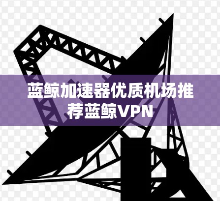 蓝鲸加速器优质机场推荐蓝鲸VPN