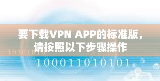 要下载VPN APP的标准版，请按照以下步骤操作