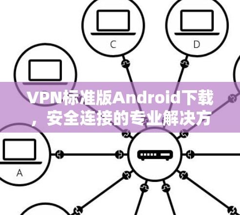 VPN标准版Android下载，安全连接的专业解决方案