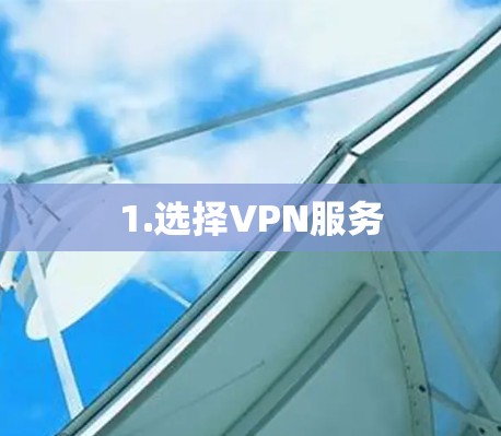 1.选择VPN服务