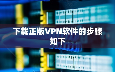 下载正版VPN软件的步骤如下